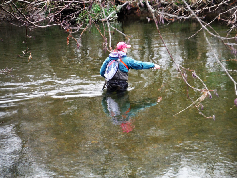 The Irfon in winter, high cold and clear